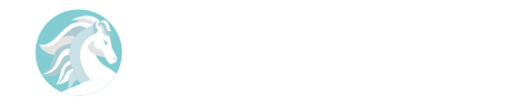 石家庄女子半程马拉松官网