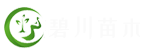 绿化苗木种植_市政工程_道路建设_神木市市碧川绿化工程有限公司